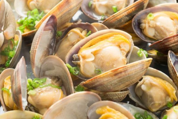 New England Style Clam Bake